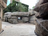  Architektur zum Erkunden der Pinguine