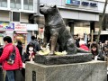 Hachiko Bronzestatue