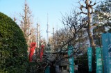 Blick von der Anlage auf Tokio Skytree Quelle: Ekkehard Boldt